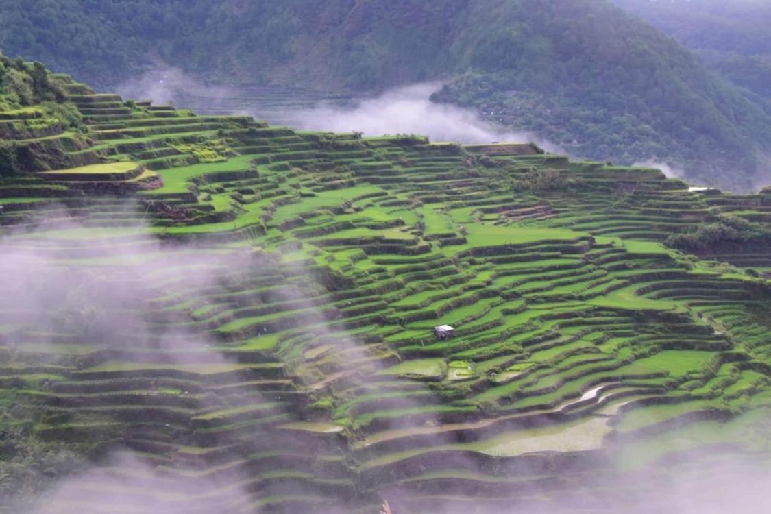 Vilma'S Homestay Bontoc  Eksteriør bilde