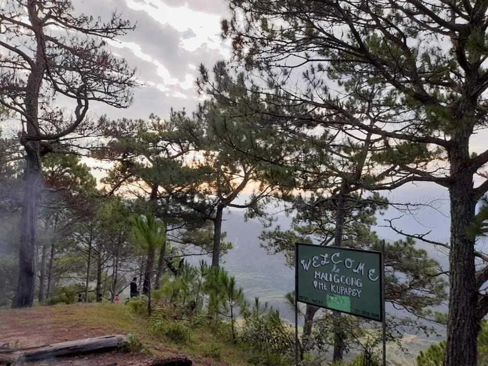 Vilma'S Homestay Bontoc  Eksteriør bilde