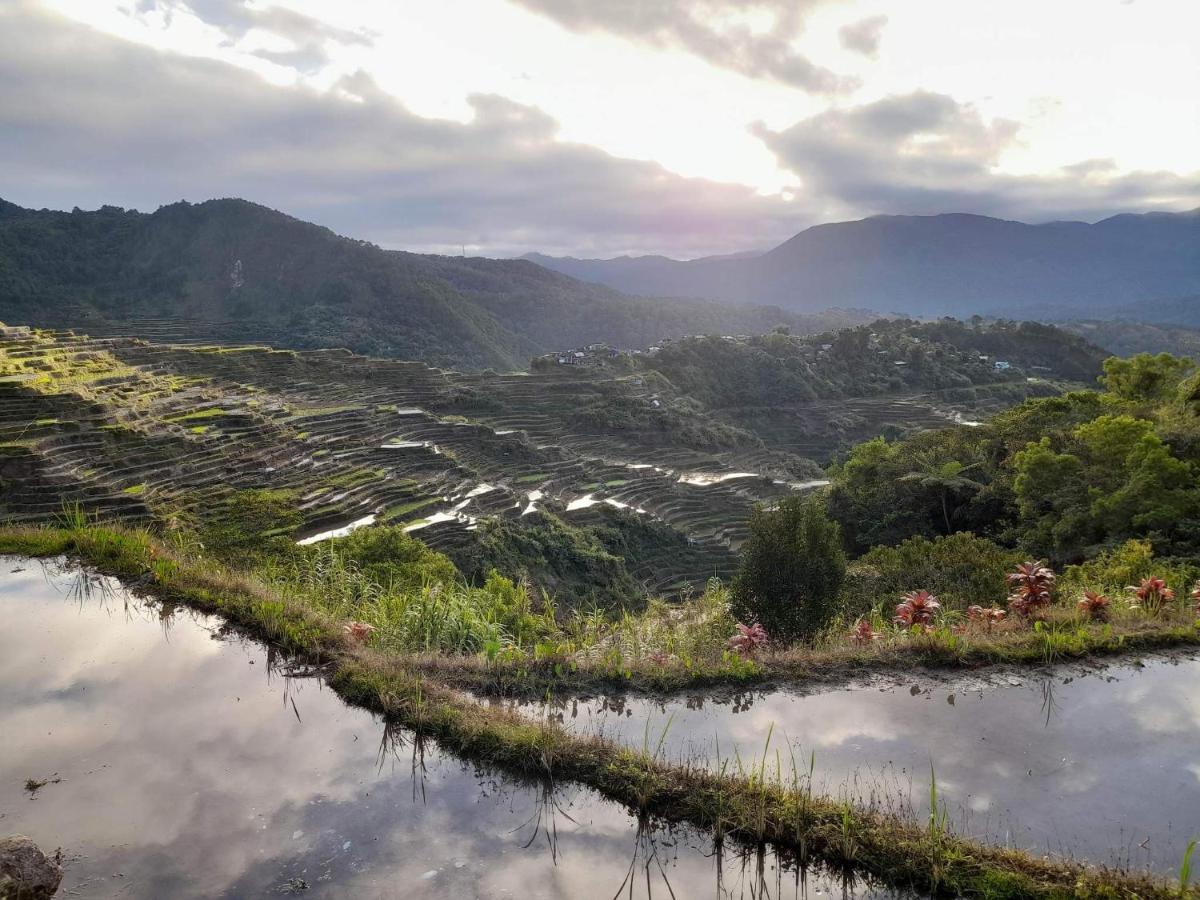 Vilma'S Homestay Bontoc  Eksteriør bilde